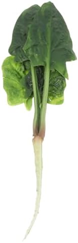 Realistic Artificial Spinach Decor for Home Kitchen