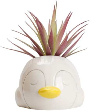 Cute Artificial Penguin Plant Basin for Home Decor