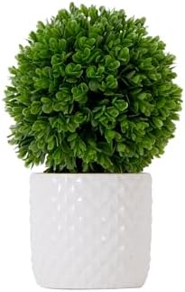10 Inch Artificial Boxwood Topiary with Ceramic Planter