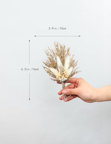 Mini Dried Flower Bouquet Set of 6 Boho Decor
