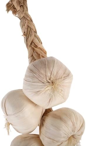 PRETYZOOM Artificial Garlic String Decorations