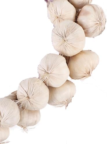 Veloshine Artificial Garlic String for Farmhouse Decor