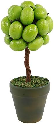 Flora Bunda 11 Inch Tall Faux Lime Topiary in Ceramic Pot
