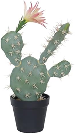 Modern Artificial Indoor Green Bonsai Cactus Plant