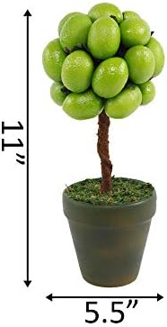 Flora Bunda 11 Inch Tall Faux Lime Topiary in Ceramic Pot