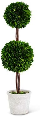 KK Interiors 275 Inch Preserved Boxwood Double Ball Topiary in Whitewashed Pot