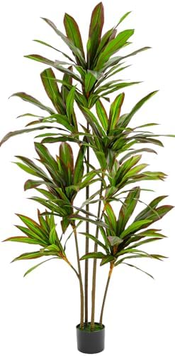 VIAGDO 6ft Artificial Dracaena Plant with Red Leaf Margin