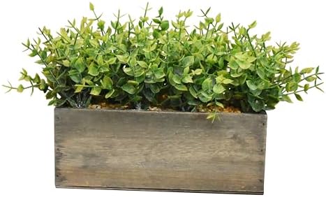 7 Inch Boxwood in Rustic Wooden Box Centerpiece