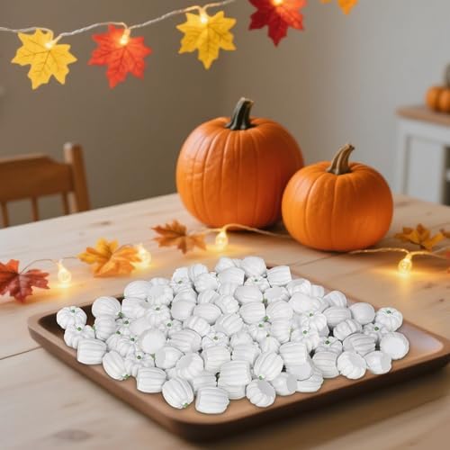 Winemana Mini Pumpkins Fall Decorations 80 Pack White
