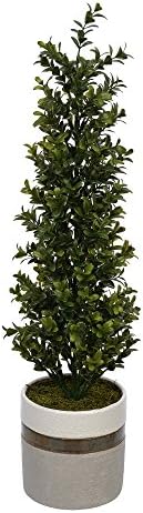 House of Silk Flowers Artificial 22-inch Boxwood Topiary in Ceramic Pot