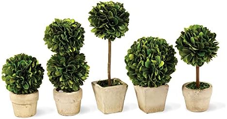 Napa Home Garden Boxwood Mini Topiaries Set of 5 Green