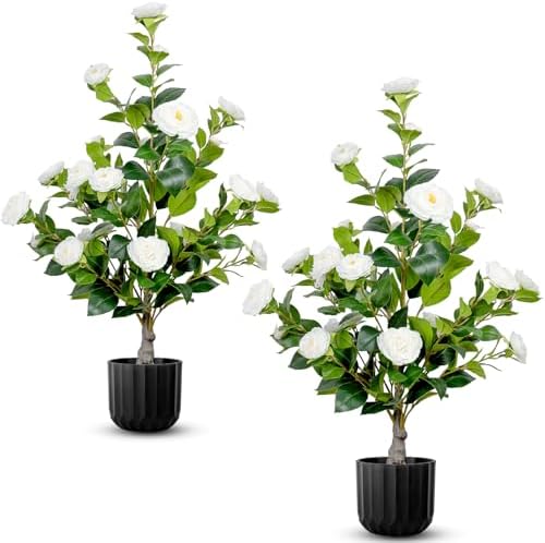 TonJin Artificial White Camellia Tree 36 Inch 2 Pack