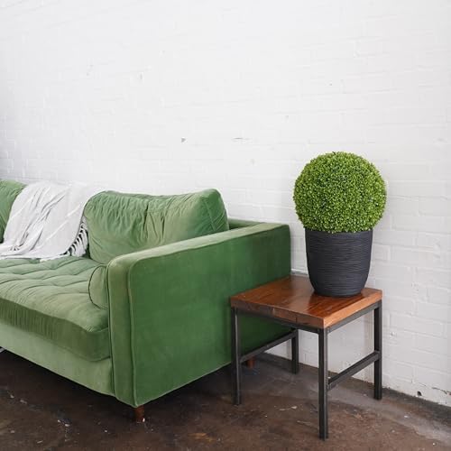 Natures Elements Tabletop Boxwood Topiary