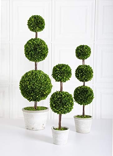 KK Interiors 275 Inch Preserved Boxwood Double Ball Topiary in Whitewashed Pot