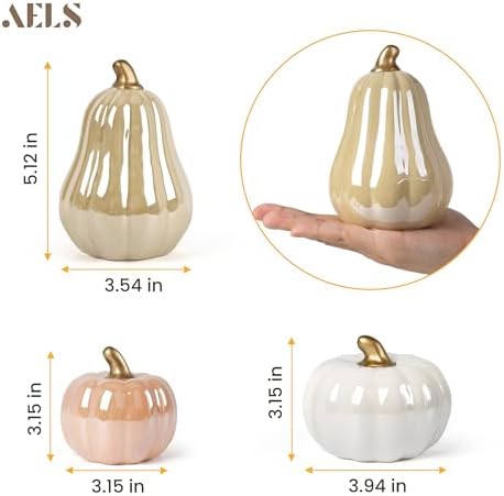 AELS Modern Ceramic Pumpkins Fall Decor Set of 3