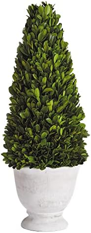 MY SWANKY HOME Elegant 19 in Cone Topiary in Pot