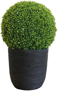 Natures Elements Tabletop Boxwood Topiary