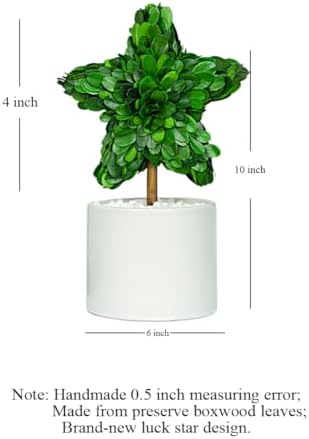 Perryandmoon Preserved Boxwood Star Topiary 10 Inch