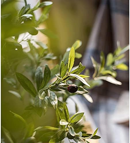 Artificial Olive Tree 23 Inch Silk Faux Decor