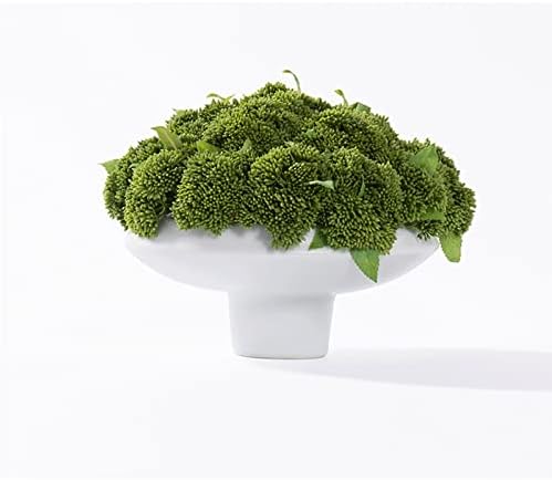 SUNESA Artificial Topiary with White Ceramic Pot