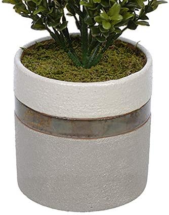 House of Silk Flowers Artificial 22-inch Boxwood Topiary in Ceramic Pot