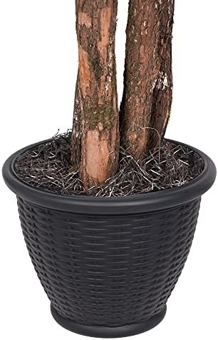 Vickerman 4 Foot Artificial Ming Aralia Bush in Rattan Basket