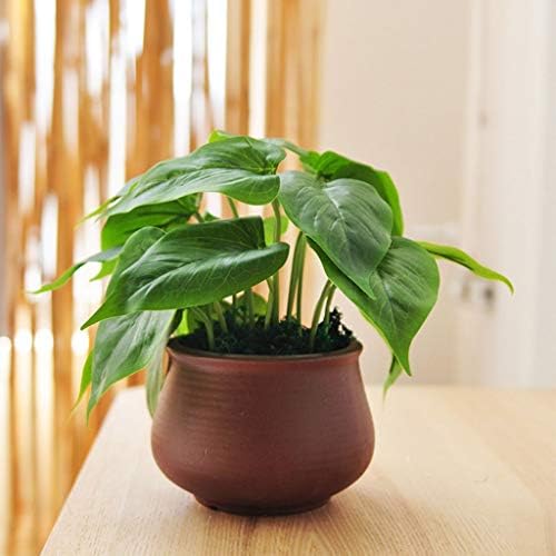 Artificial Bonsai Tree with Realistic Leaf Texture