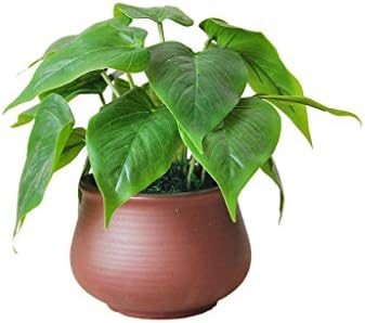 Artificial Bonsai Tree with Realistic Leaf Texture