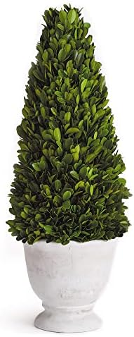 MY SWANKY HOME Elegant 19 in Cone Topiary in Pot