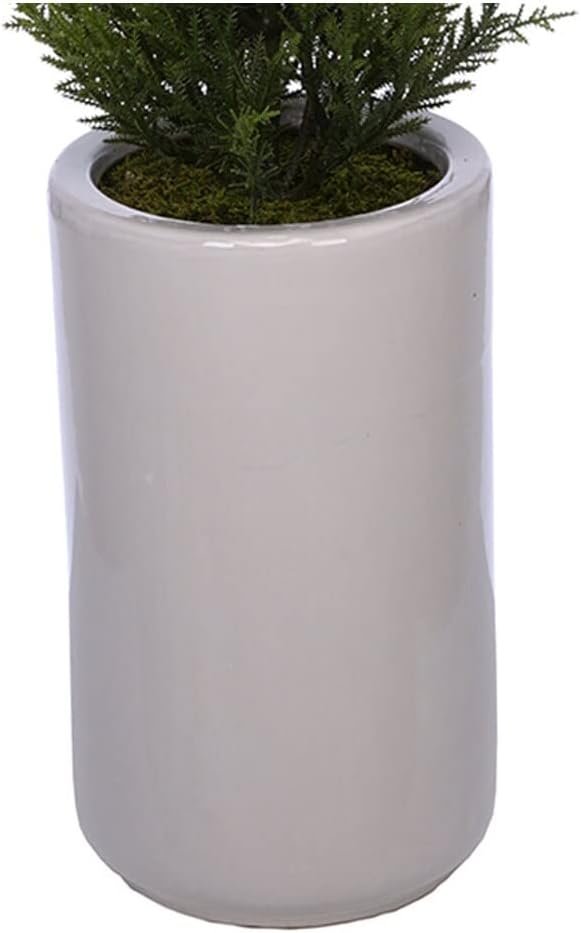 38-inch Cedar Pencil Topiary in White Ceramic Cylinder Vase