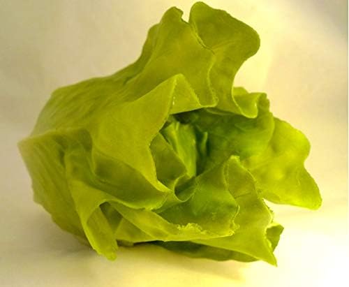Artificial Lettuce Head 5 Inch Realistic