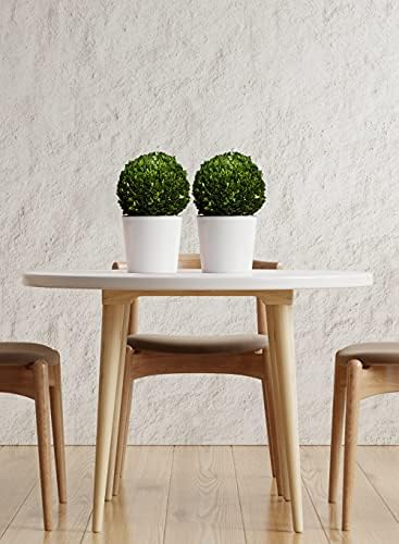 Serene Spaces Living 12 Inch Preserved Boxwood Ball