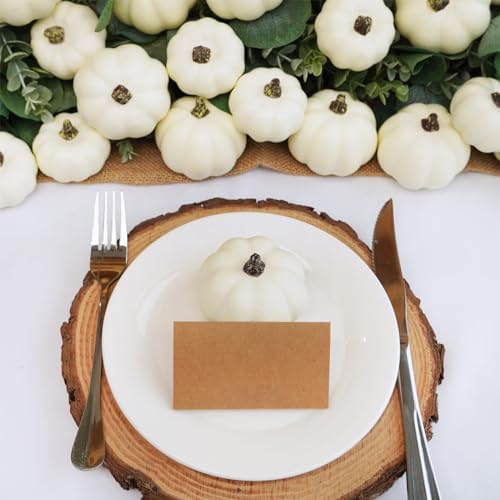 Winlyn 48 Pc White Artificial Pumpkins Fall Decor