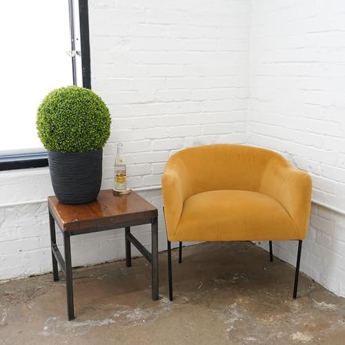 Natures Elements Tabletop Boxwood Topiary