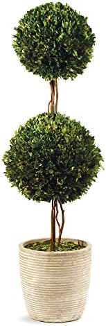 Napa Home Garden Preserved Boxwood Double Sphere Topiary