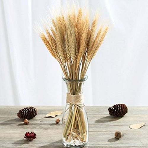 Yarlung 300 Stems Dried Wheat Sheaves 16 Inch NaturalFall Decor