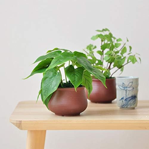 Artificial Bonsai Tree with Realistic Leaf Texture