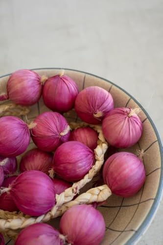 First of a Kind Artificial Purple Onion Strings Decor