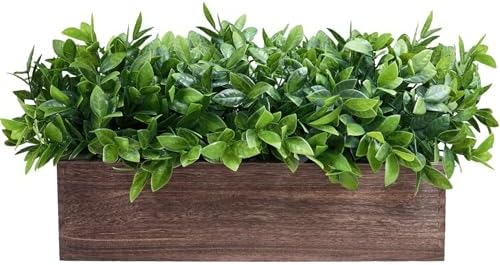 Winlyn 14 Inch Artificial Boxwood Plant Decor