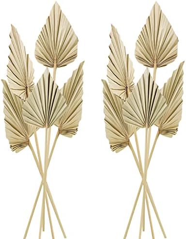 Cenkaiyang 10 Pcs Boho Dried Palm Spears Leaves Decor
