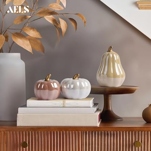 AELS Modern Ceramic Pumpkins Fall Decor Set of 3