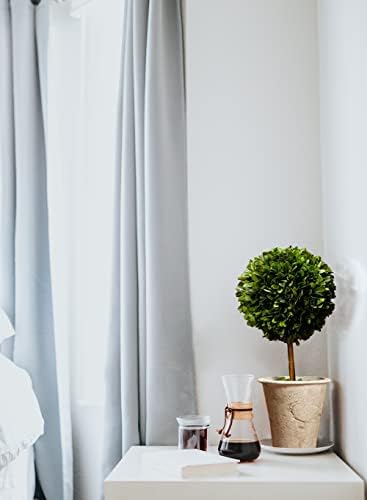 Serene Spaces Living Preserved Boxwood Topiary with Pot