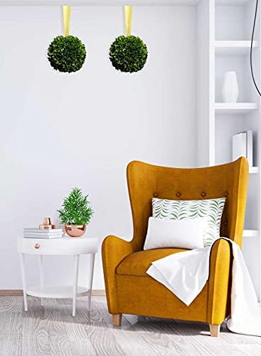 Serene Spaces Living 12 Inch Preserved Boxwood Ball