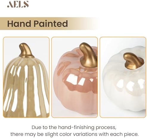 AELS Modern Ceramic Pumpkins Fall Decor Set of 3