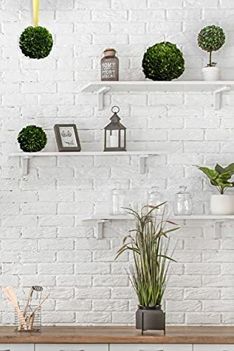 Serene Spaces Living 12 Inch Preserved Boxwood Ball