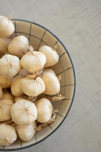First of a Kind Artificial Garlic String Decor