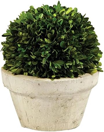 MY SWANKY HOME 10-Inch Ball Topiary Artificial Boxwood
