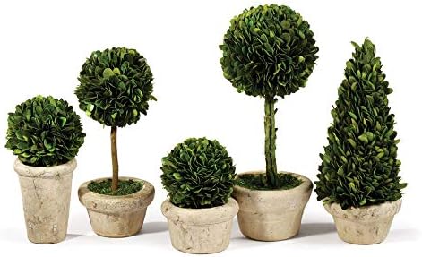 Traditional Garden Boxwood Topiaries Set Of 5 Green