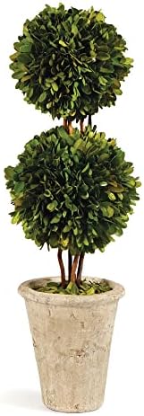 Traditional Garden Preserved Boxwood Double Sphere Topiary 20-Inch