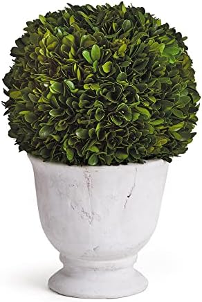 MY SWANKY HOME Elegant 12in Ball Sphere Topiary in Pot